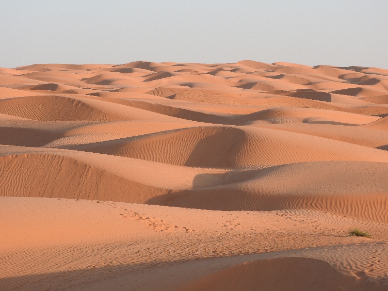 13 Wahiba Sands Desert